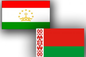 БГУ и ТГУ: совместный проект 